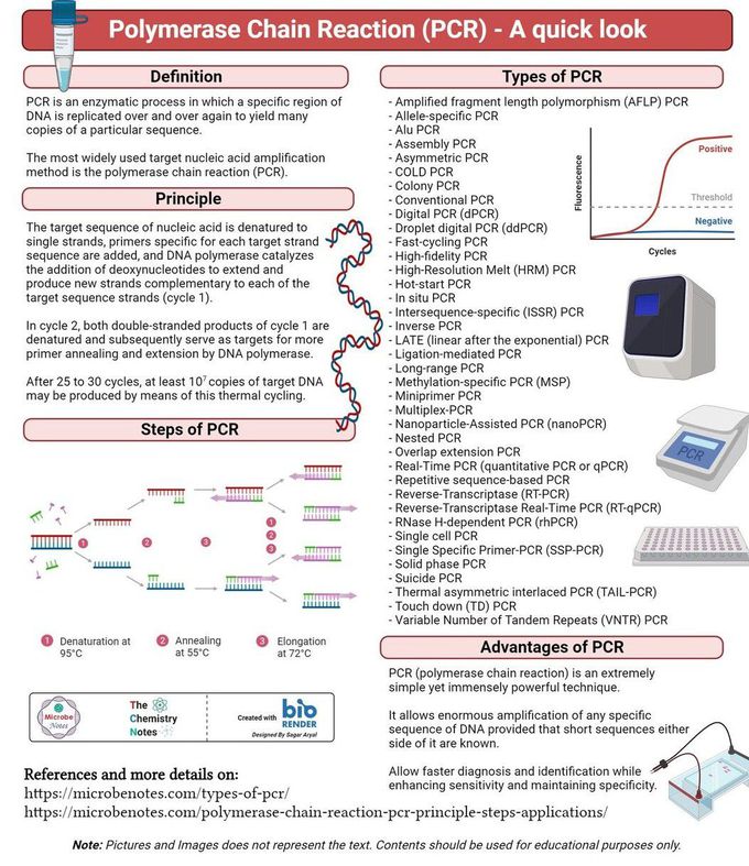 Polymerase Chain Reaction