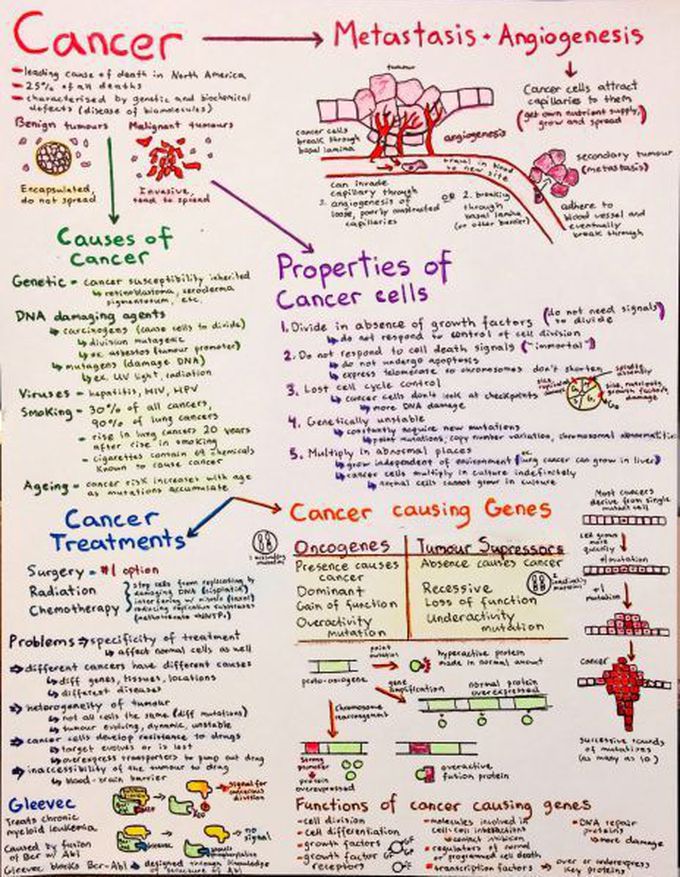 Introductory Biochemistry Flowcharts