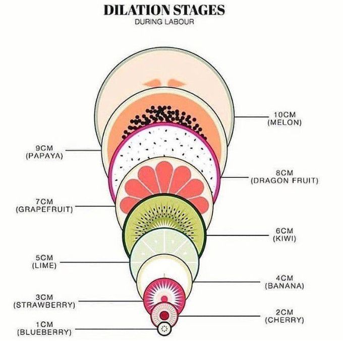 Dilation stages of labour