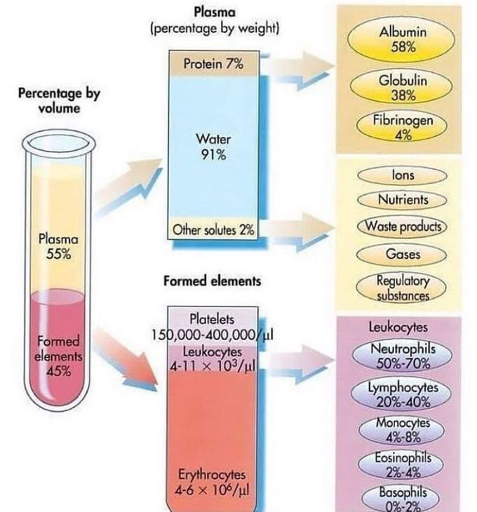 Blood and plasma