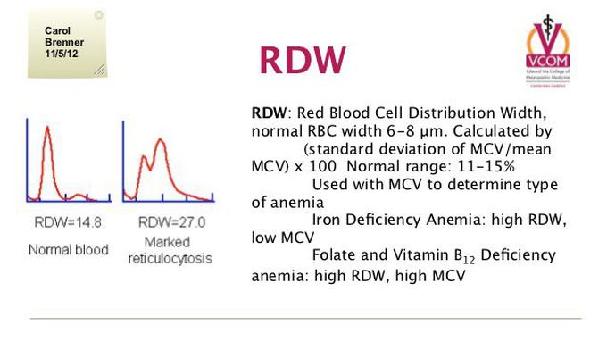 Rdw в крови повышены у мужчины. RDW — Red Cell distribution. RDW (Red-Cell distribution width). RDW В крови. RDW (Red Cell distribution width) характеризует.