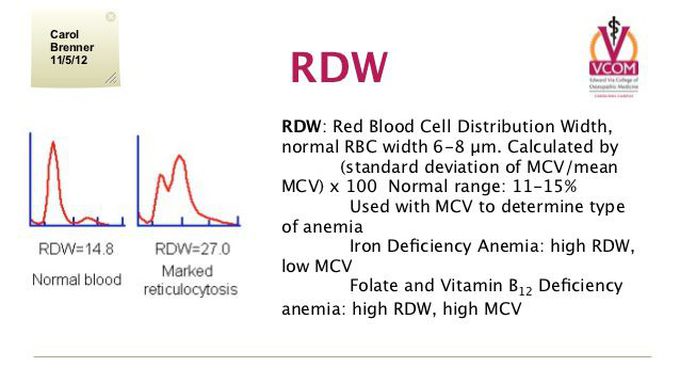 Rdw. RDW — Red Cell distribution. RDW (Red-Cell distribution width). RDW (Red Cell distribution width) характеризует. RDW normal.