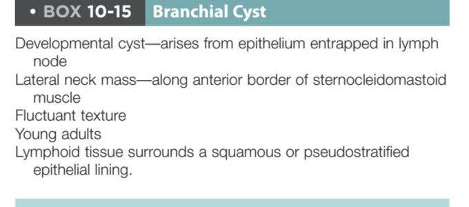 Branchial cyst