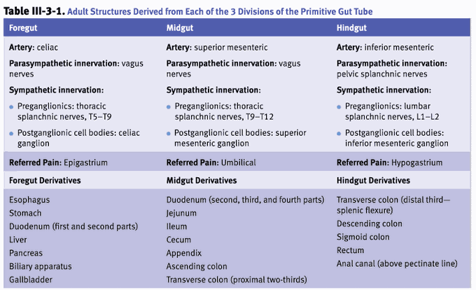 Foregut,midgut,hindgut derivatives