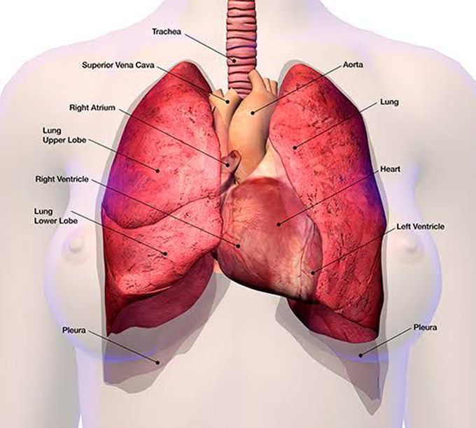 Superior vena cava syndrome (SVCS)