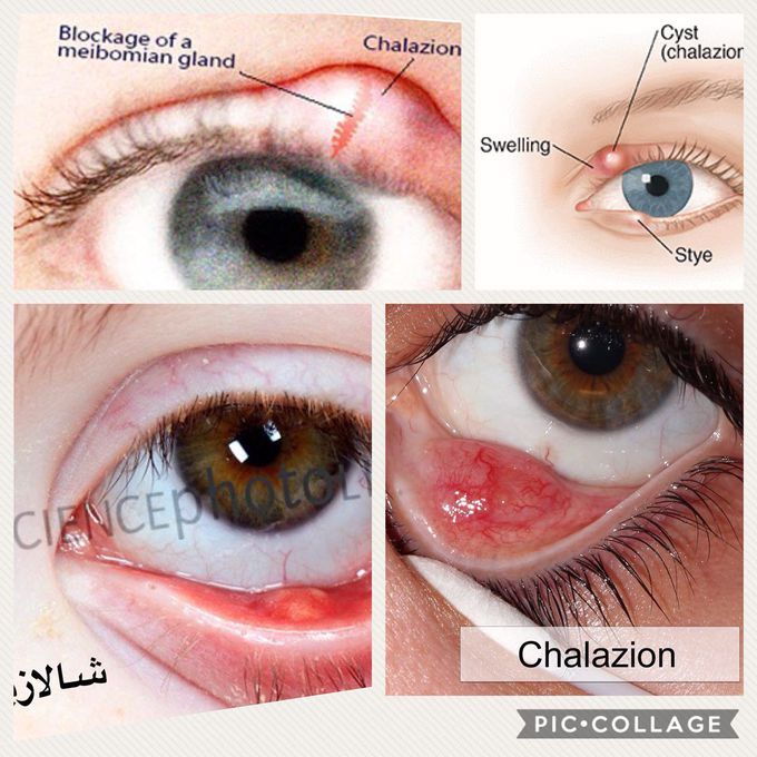 Dr RezaHZ