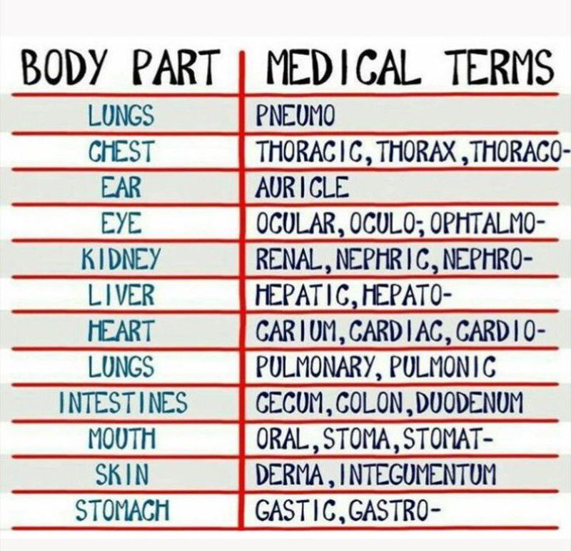 Physician - MEDizzy