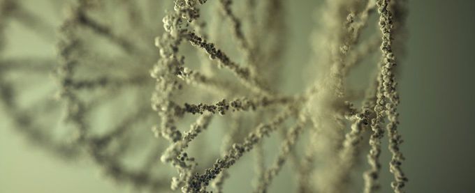 New Semi-Synthetic Organism Can Make Molecules We've Never Seen Before