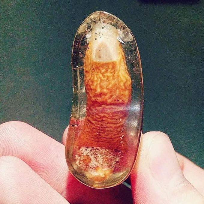 The Finger