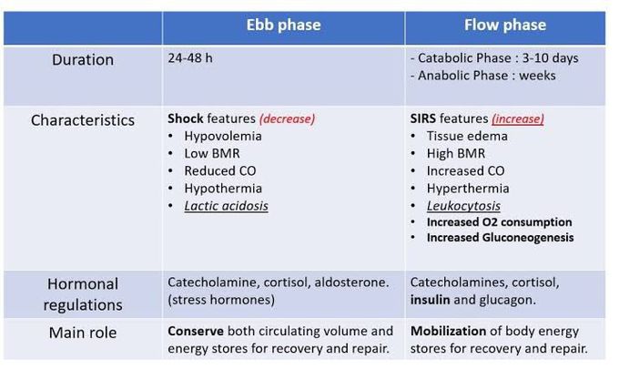 Ebb phase and Flow phase