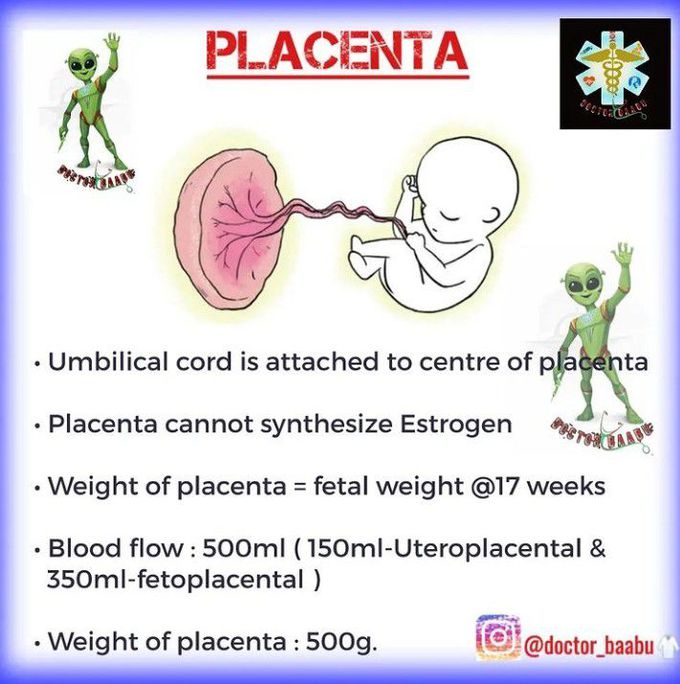 Piece of information about placenta