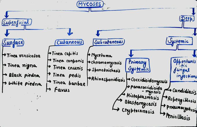 Mycoses in one Go..