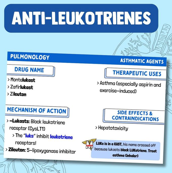 Asthma Meds IV