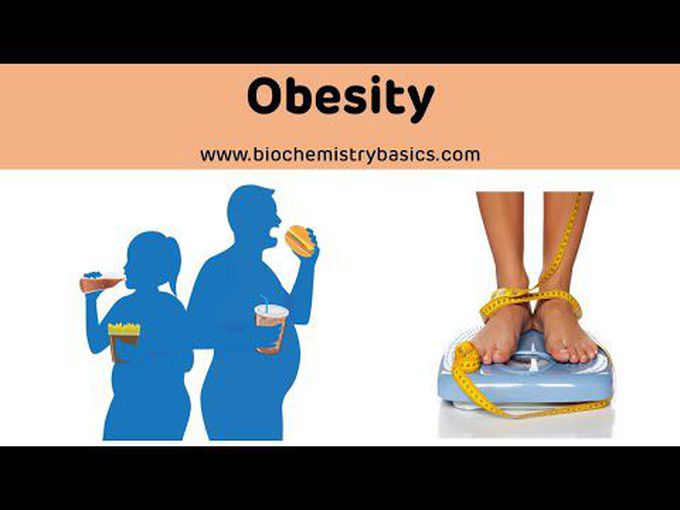 What is Obesity?