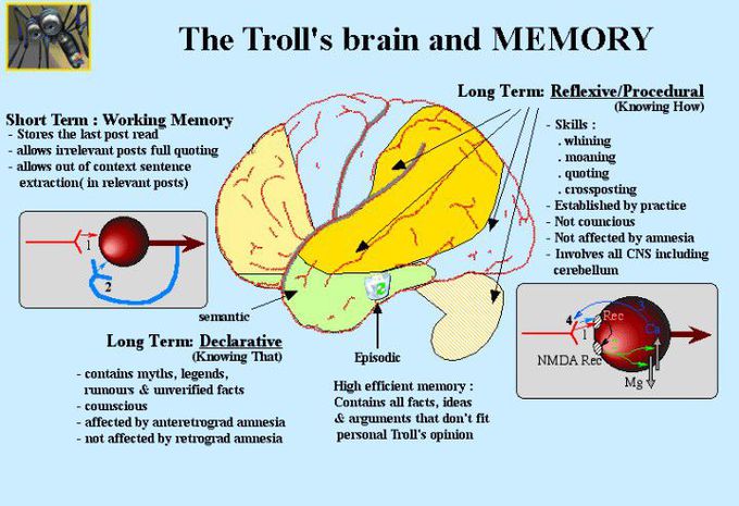 Il cervello del Troll