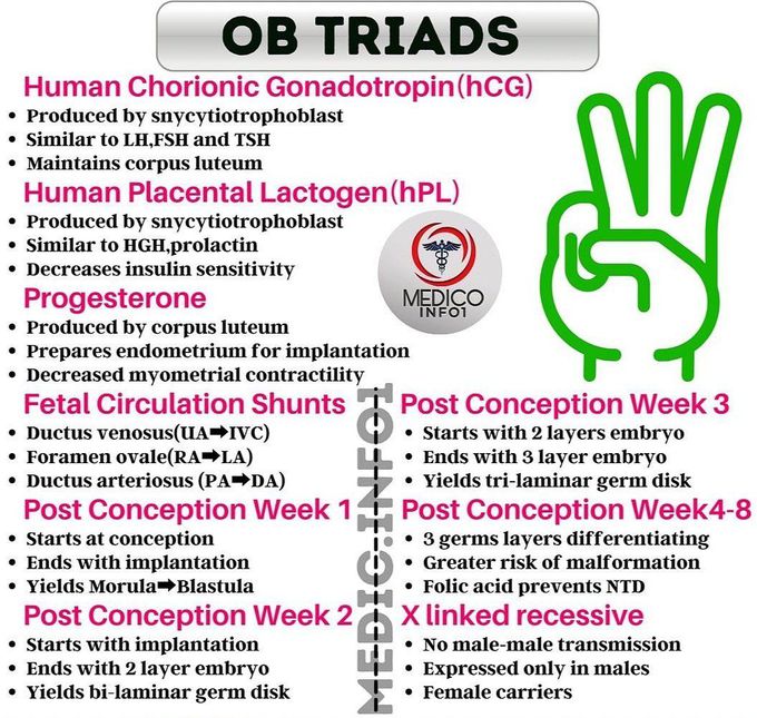 OB TRIADS- I