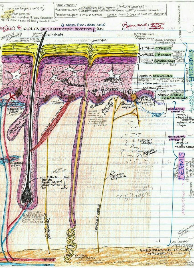 Hand Drawn Illustration , Find this structure