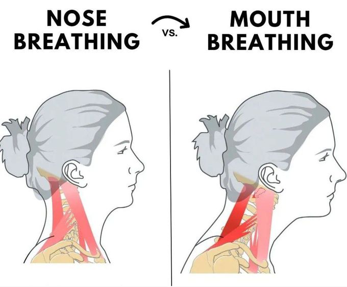 Nose Breather Vs Mouth Breather
