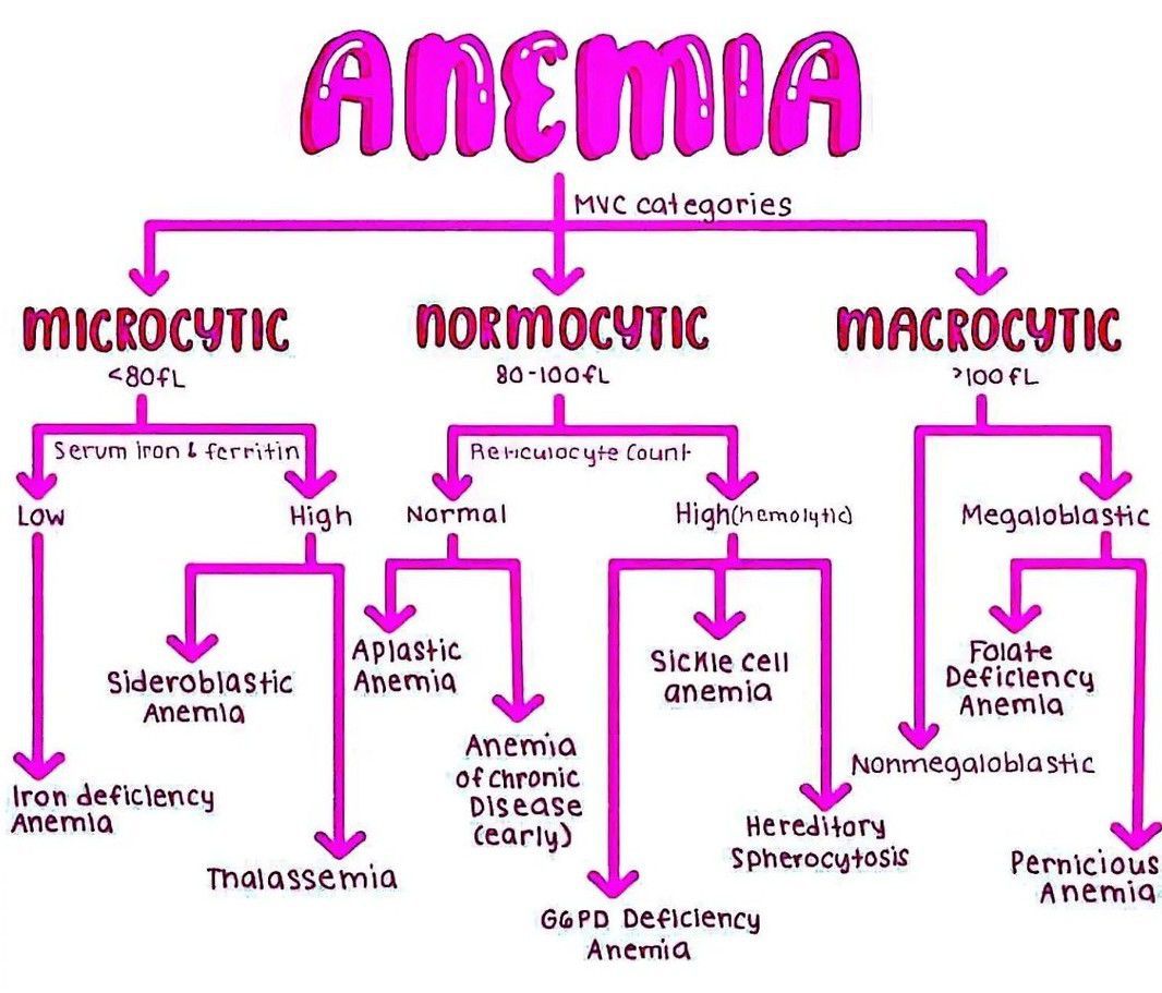 Anemia Medizzy 2853