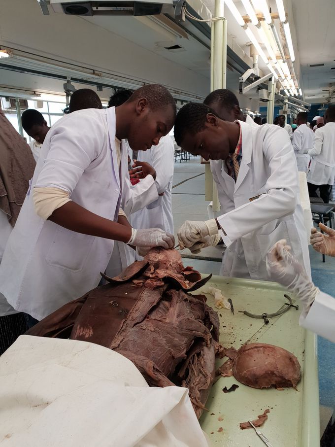 Year-3 Med School Dissection