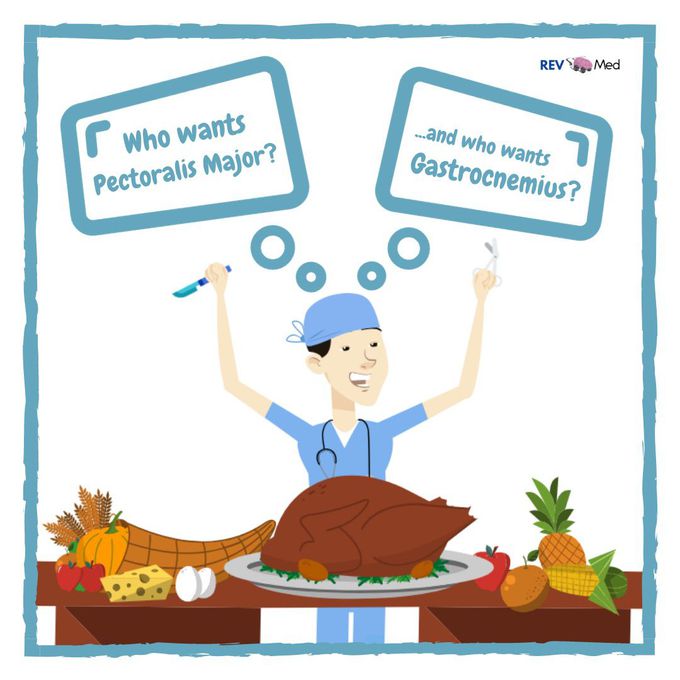 Happy Thanksgiving from REV Med!