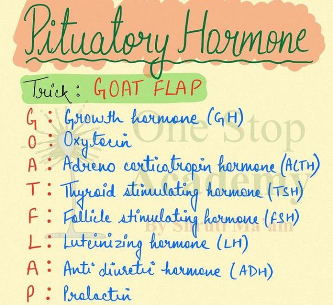 Pituitary Hormones