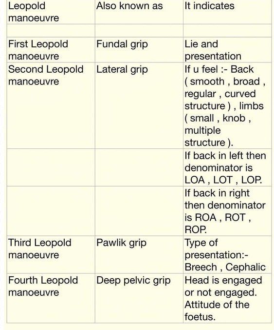 Leopold Maneuver - Types - MEDizzy