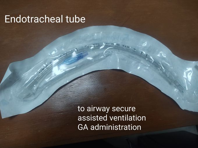 Endotracheal Tube