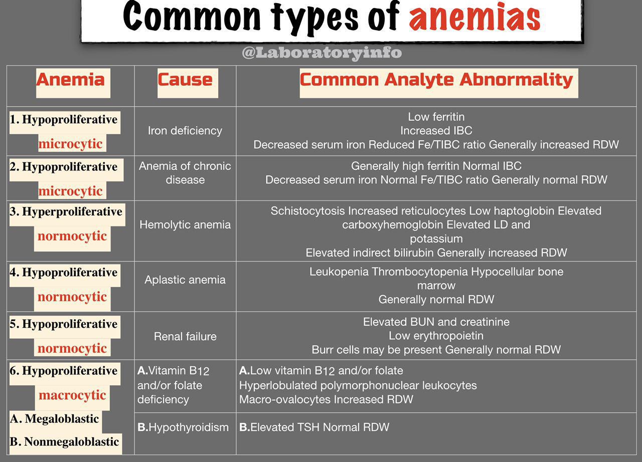 common types of anemia MEDizzy