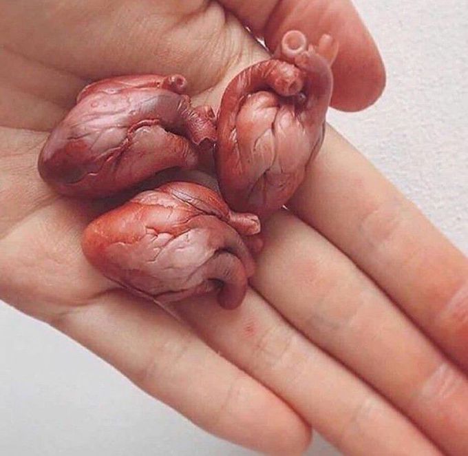 In love wid this pic !! It's so fascinating 😍 makes me feel more close to bio..