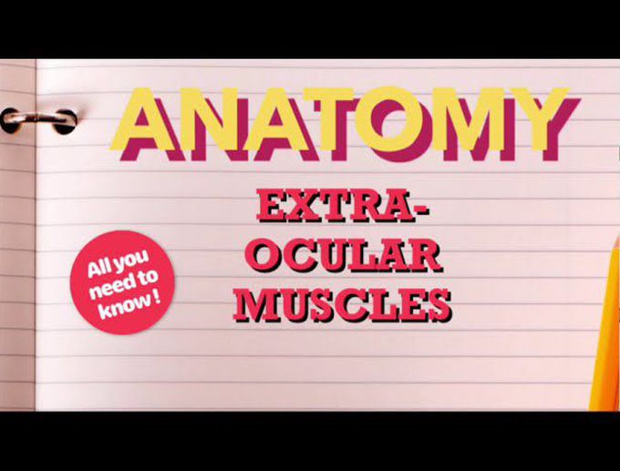 Extra- Ocular muscles | Origin | Insertion | Nerve supply | Action