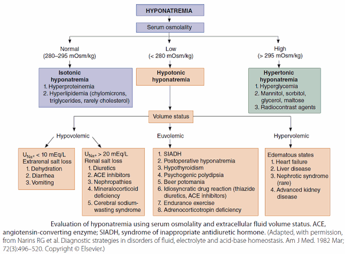 Diagnostic Algorithm of Hyponatremia