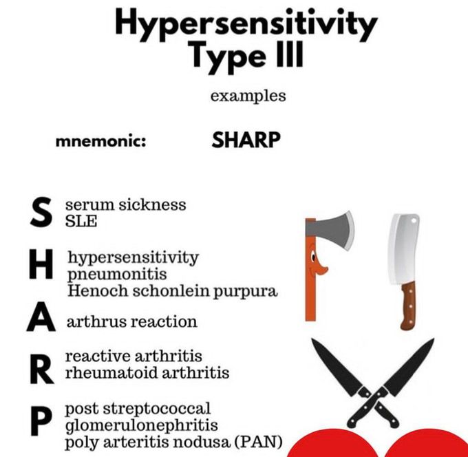 Hypersensitivity Type III