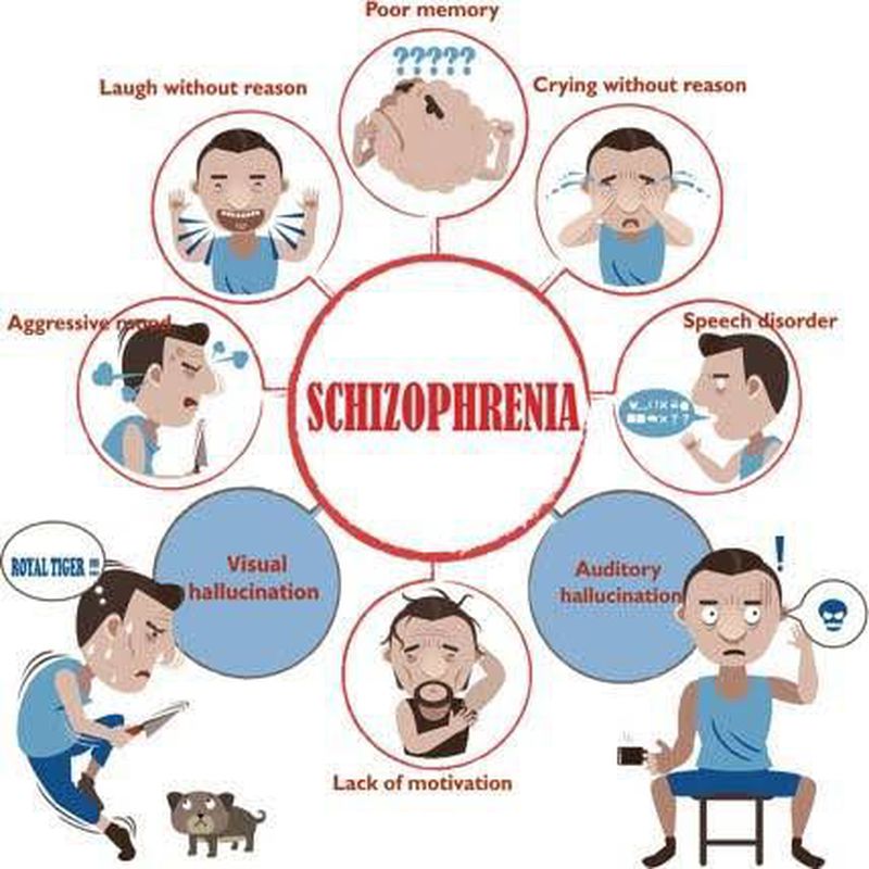 ✨統合失調症 = SCHIZOPHRENIA Schizophrenia - MEDizzy