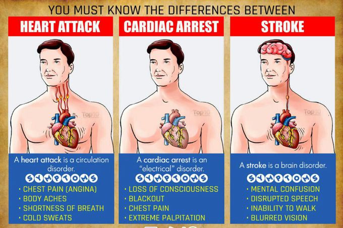 Difference between Heart Attack, Cardiac Arrest and Stroke. - MEDizzy