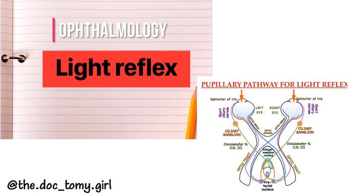 Light reflex| Pupillary pathway| Direct & Indirect light reflex
