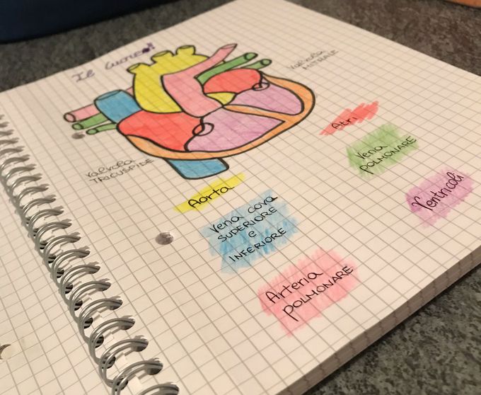 heart cuore