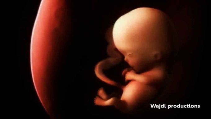 From Conception to Birth