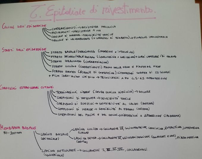 Tessuto epiteliale di rivestimento