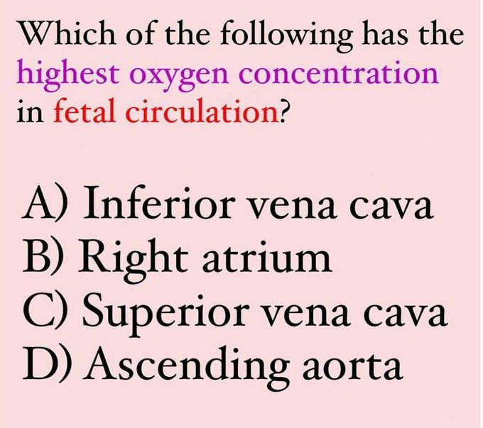 Fetal Circulation