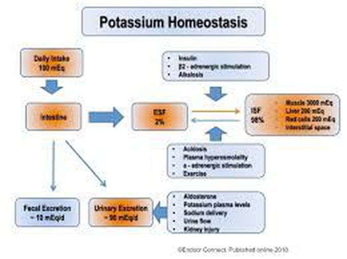 Treatment for hypokalemia