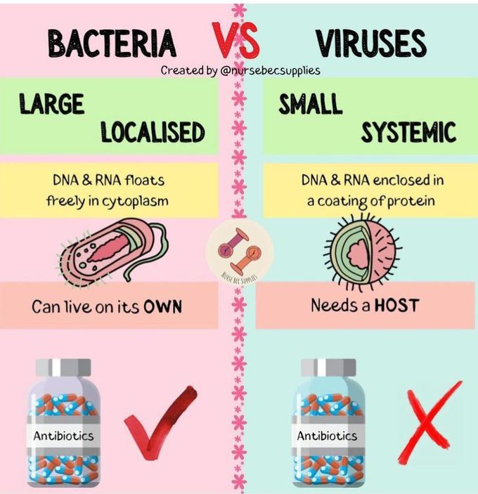 Bacteria Vs Viruses