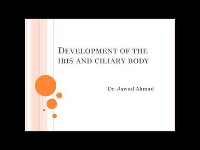 Development of ciliary body and Iris