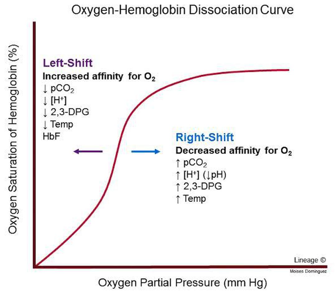 Oxygen Hemoglobin Dissociation Curve Medizzy