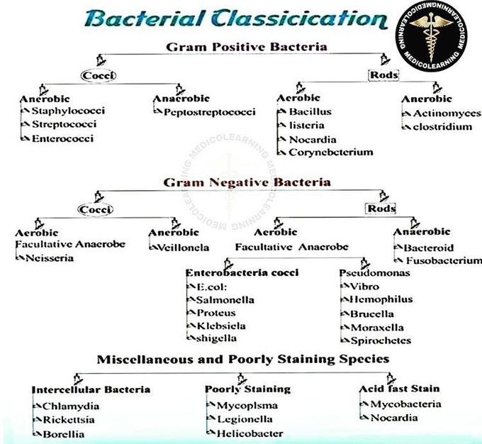 Microbiology