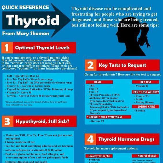 Thyroid - MEDizzy