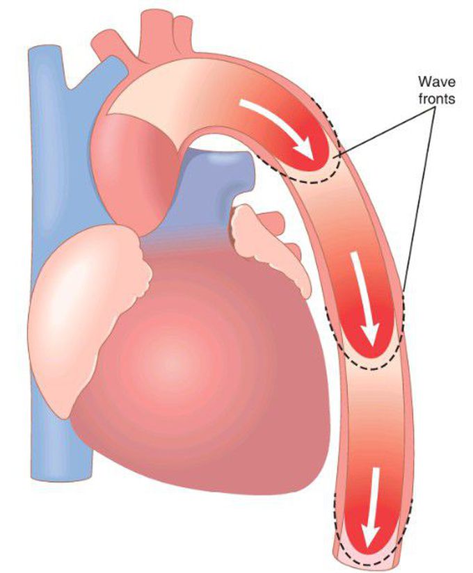 Pulse pressure