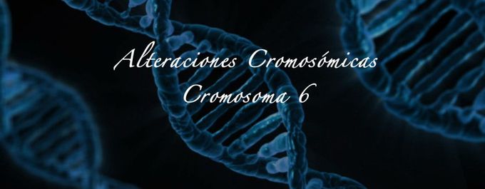 El cromosoma 6: Alteraciones cromosómicas - Hidden Nature