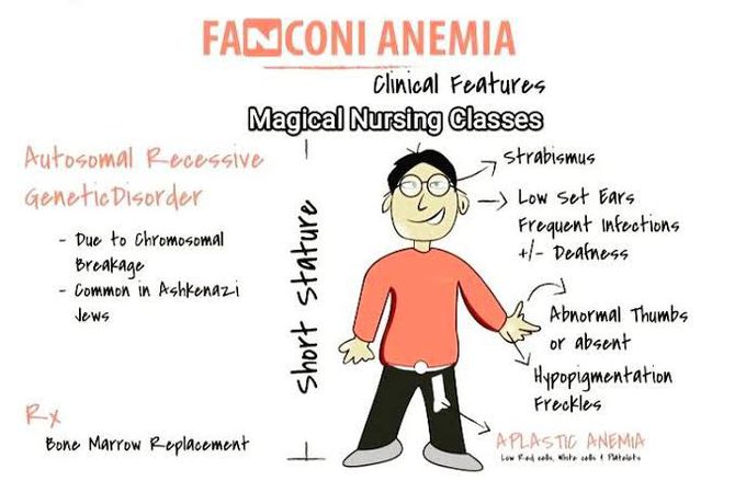 Causes of fanconi anemia