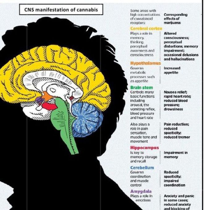 CNS Manifestations of Cannabis
